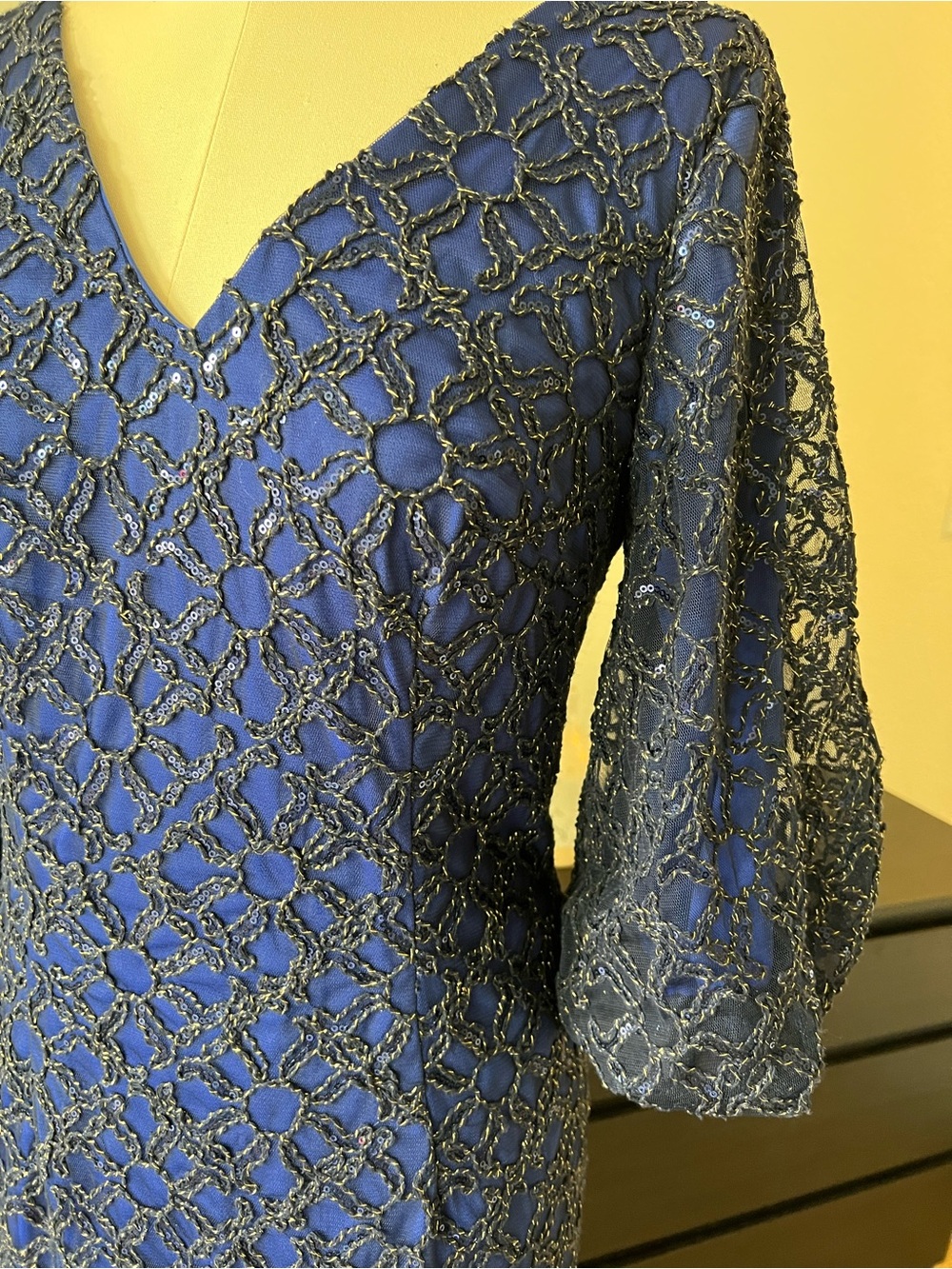Nordstrom Navy Blue Embroidered Lace V-Neck Dress